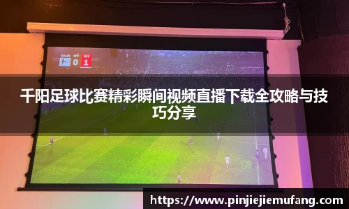 风云体育