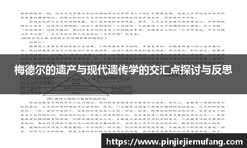风云体育