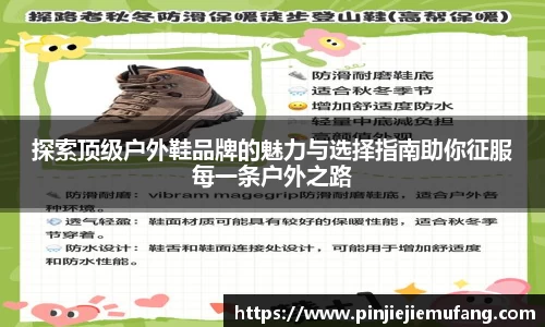 风云体育直播