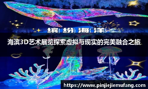 风云体育