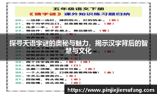 风云体育直播