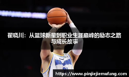 风云体育